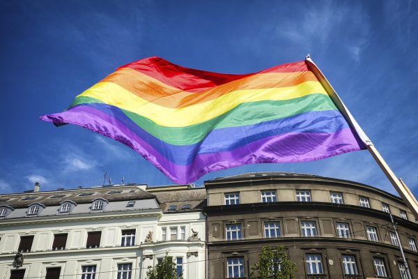 Competencia Cultural En Los Servicios A La Poblacion LGBTIQ+