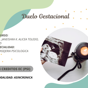 Duelo Gestacional