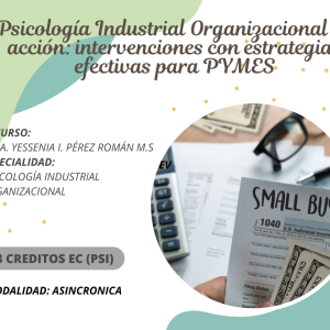 Psicología Industrial Organizacional en acción: intervenciones con estrategias efectivas para PYMES